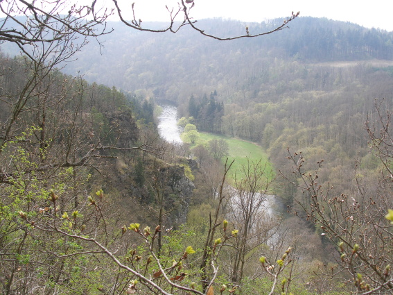 p4230188